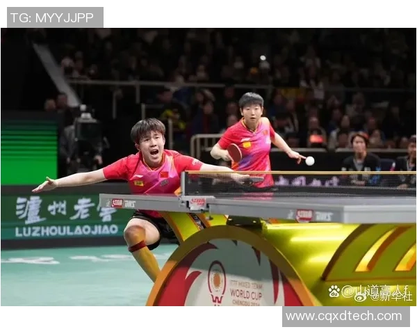 权威发布乒乓球比赛实力与经验综合排名揭晓引发热议